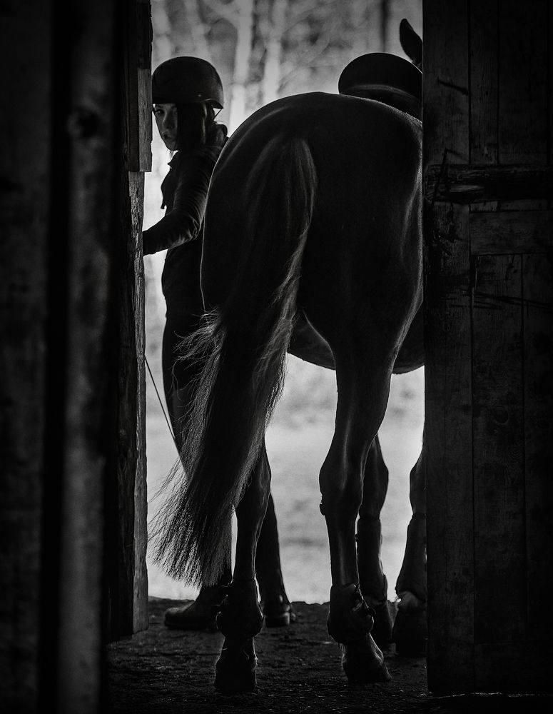 Фотография автора Наталья Новикова