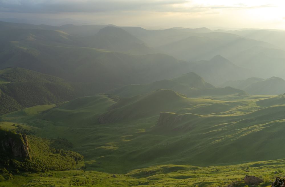 Зелёные волны