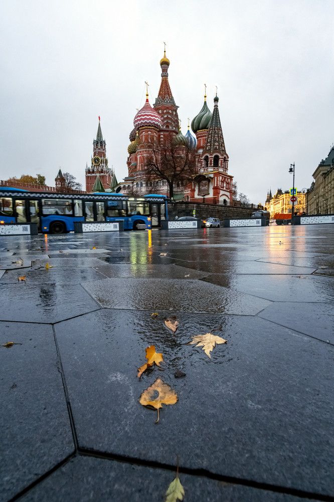 Photograph by KirillK