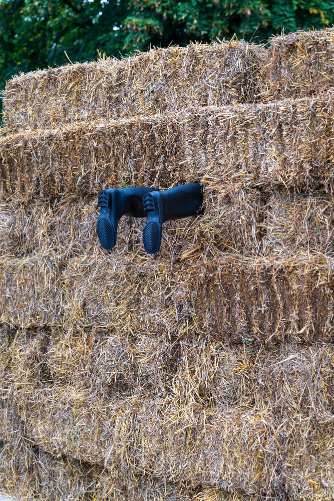 Фотография автора Дмитрий Referee