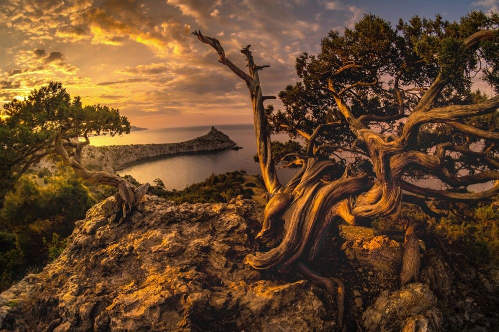 Photograph by Александр Разумов