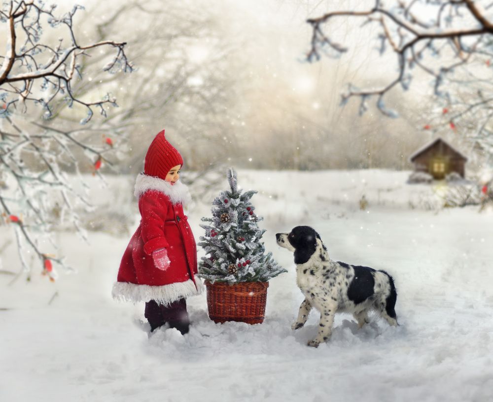 Photograph by Наталья Рыжова