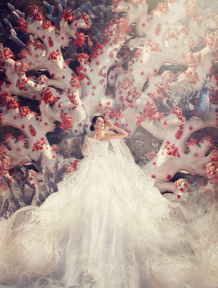 Photograph by irina kaurdakova