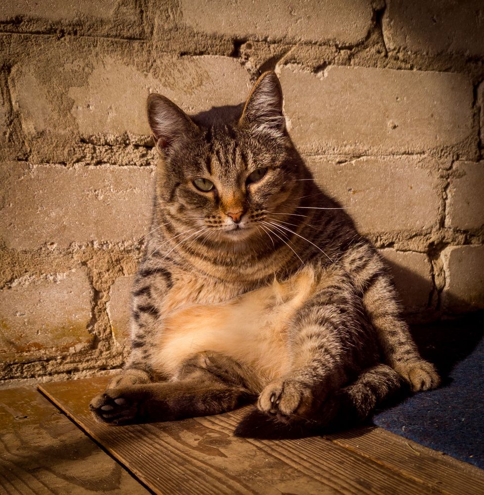 Photograph by Елена Попова