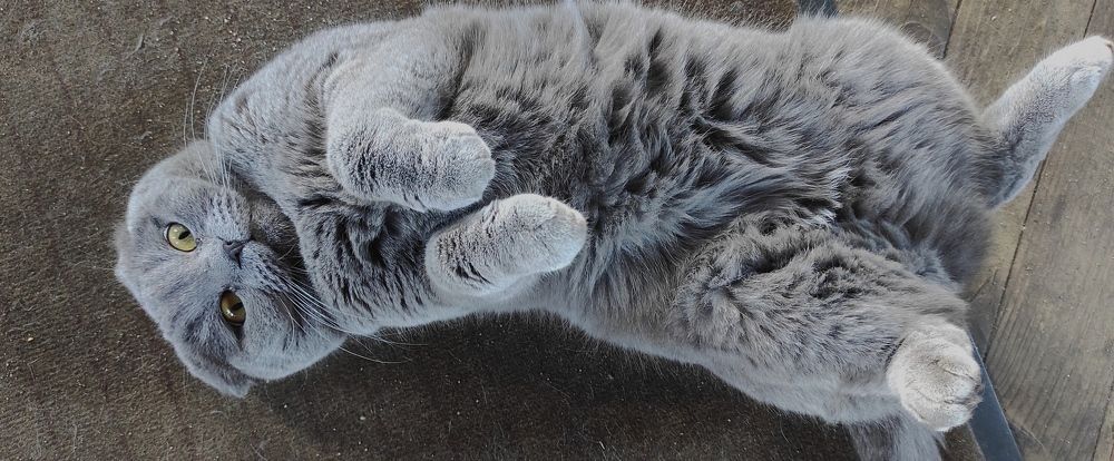 Photograph by Елена Попова