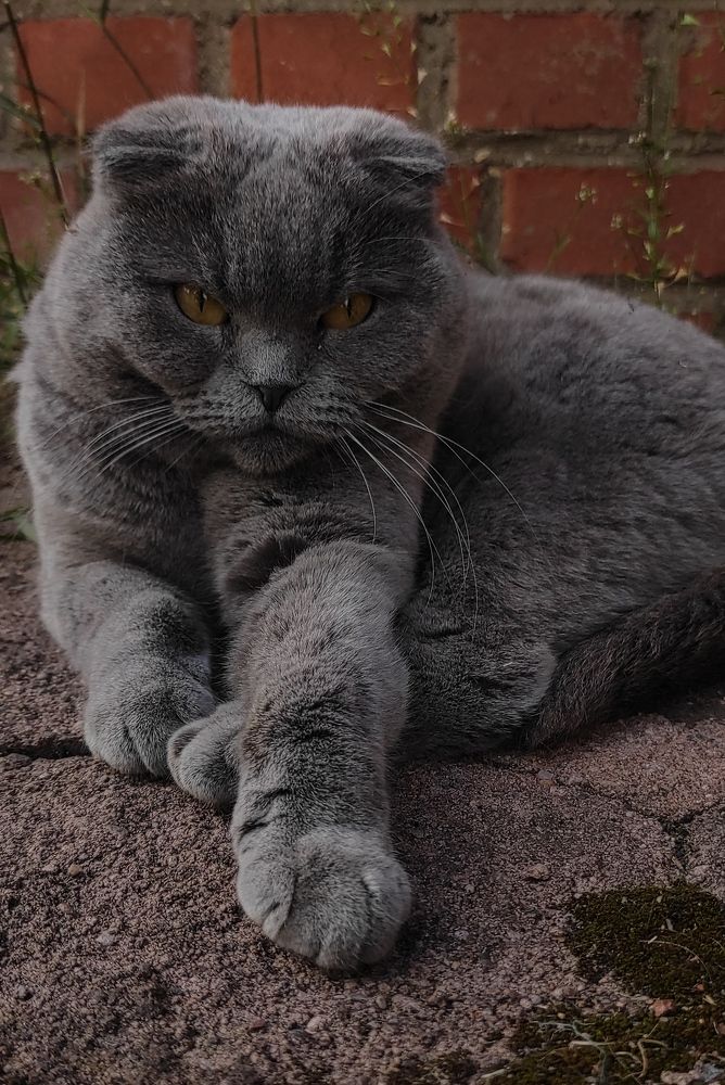 Photograph by Елена Попова