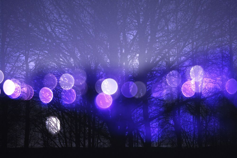 Photograph by Владимир