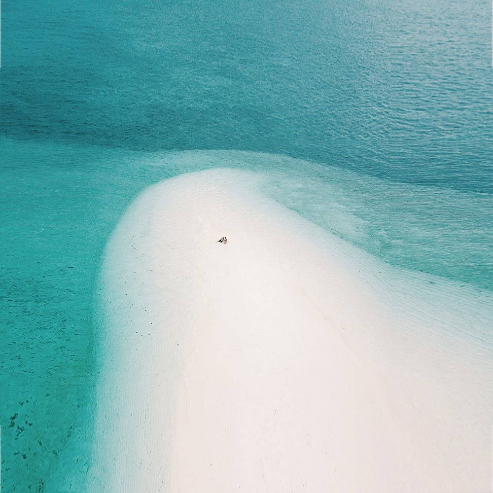 Photograph by Елена