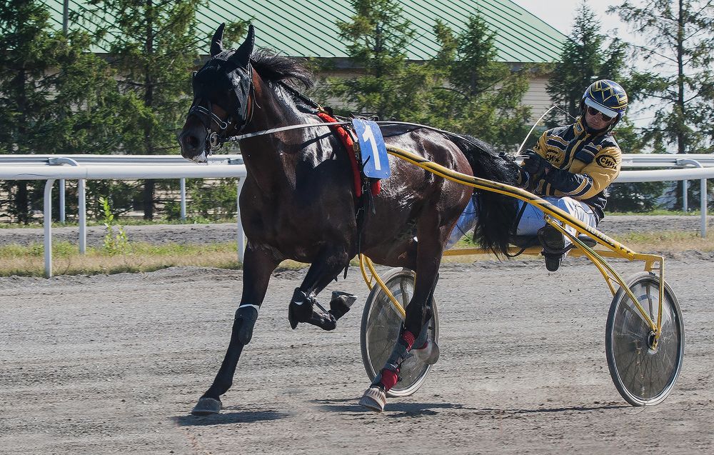 Photograph by Алексей Патлах