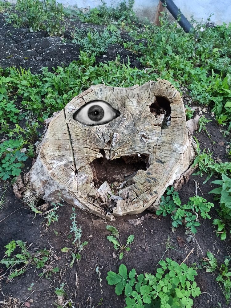 Photograph by Elena Bogomolova