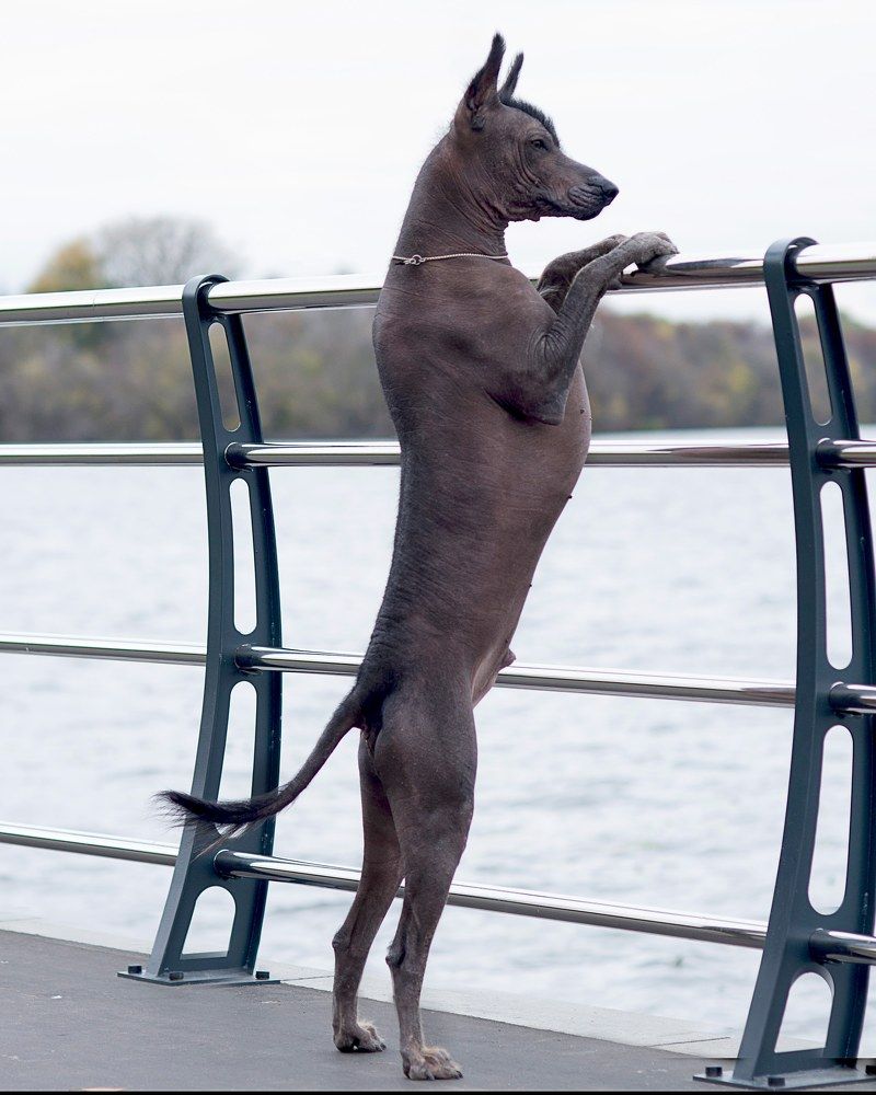 Photograph by Антонина Копытина