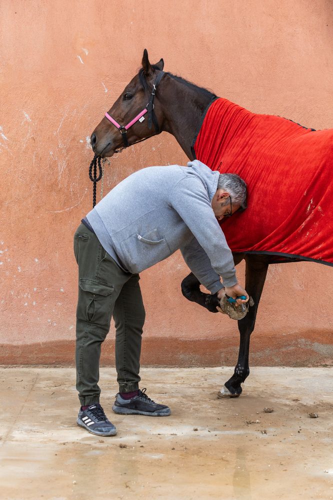 Photograph by Tahir Ceylan