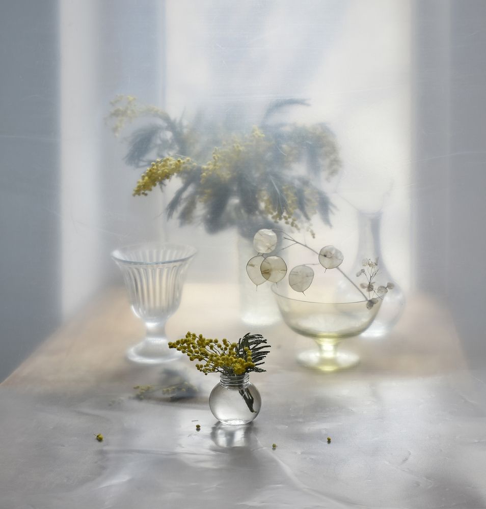 Фотография автора Ирина Шипунова