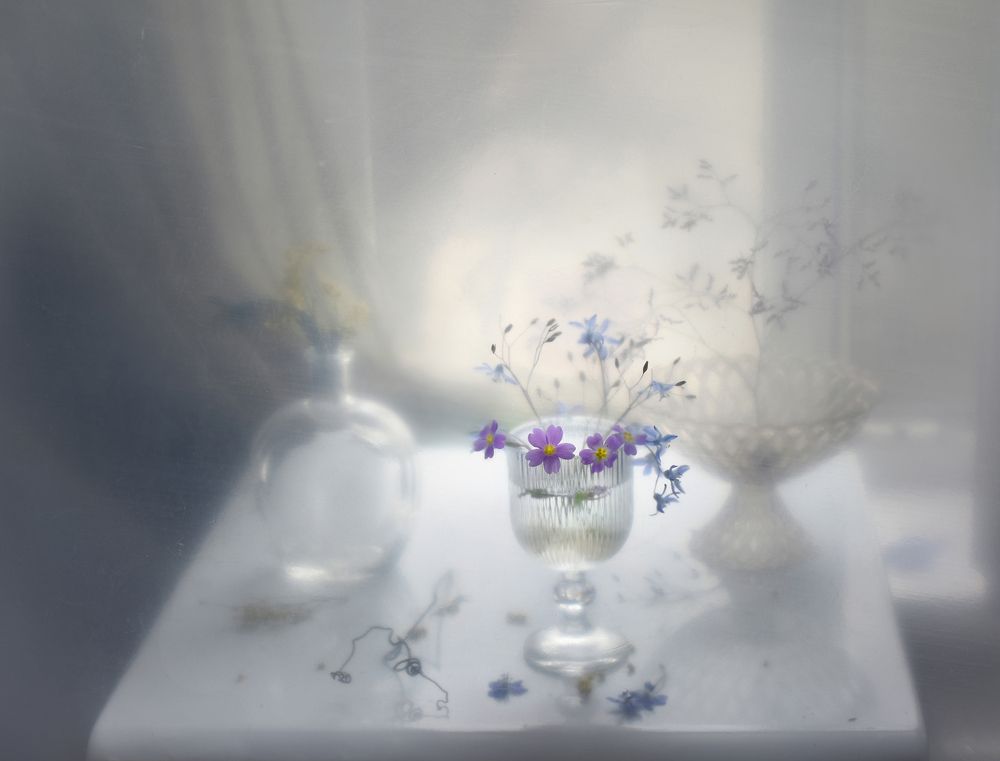 Фотография автора Ирина Шипунова