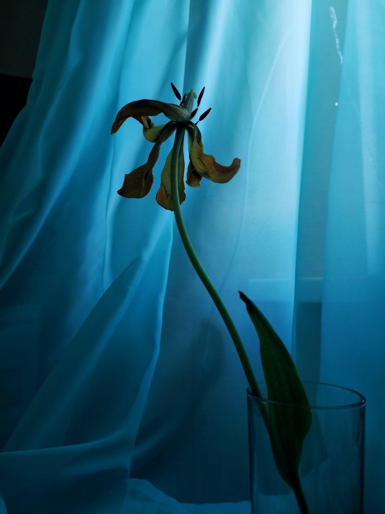 Photograph by Ирина Герлин