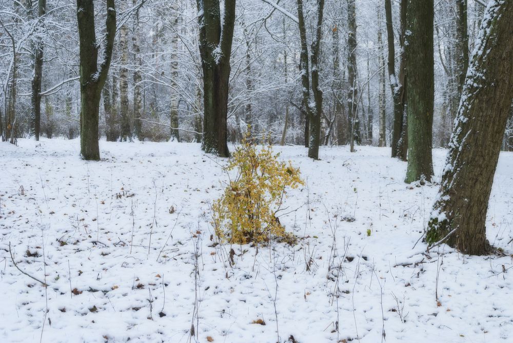 Photograph by Cергей Черныш