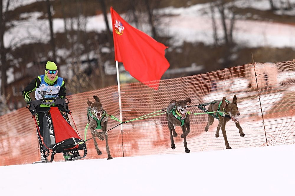 Photograph by Елена Одынец