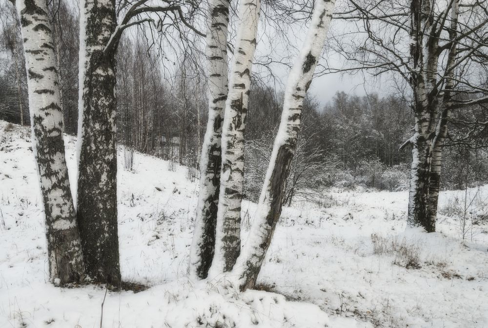 Photograph by Cергей Черныш