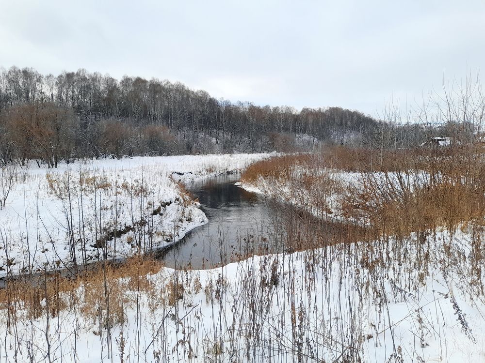 Photograph by Станислав Карнаухов