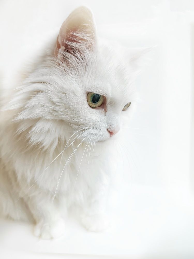 Photograph by Анастасия Филатова