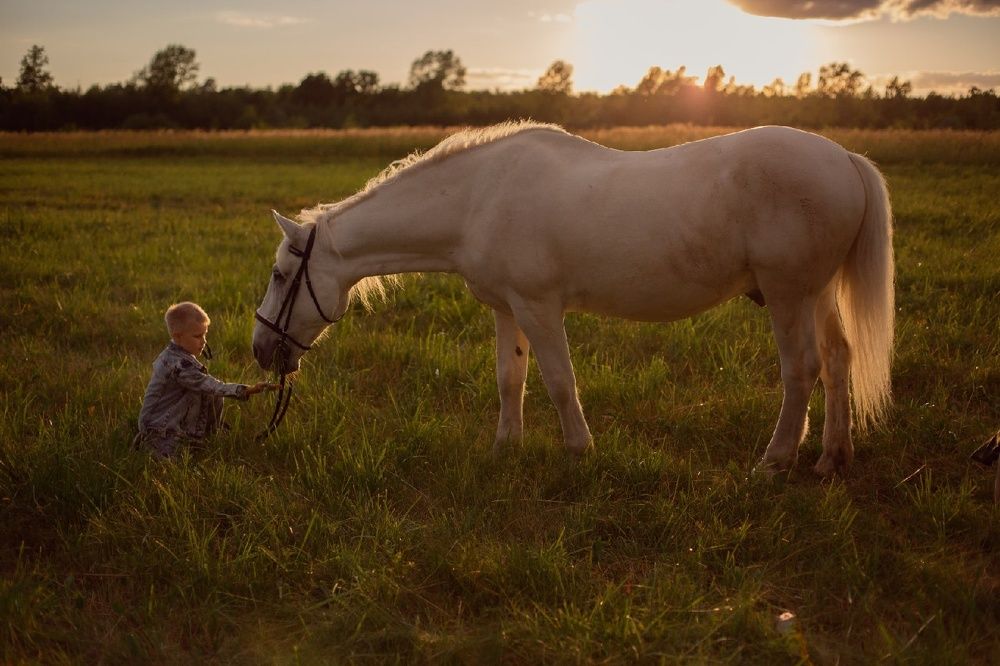 Photograph by Елена Щенина