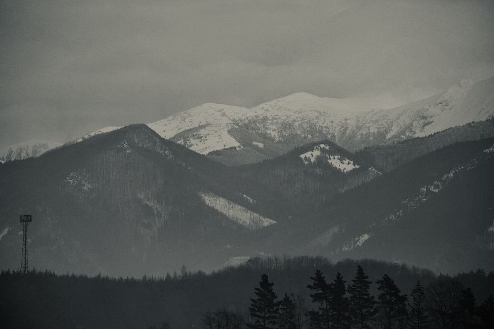 Photograph by Семён Григоренко