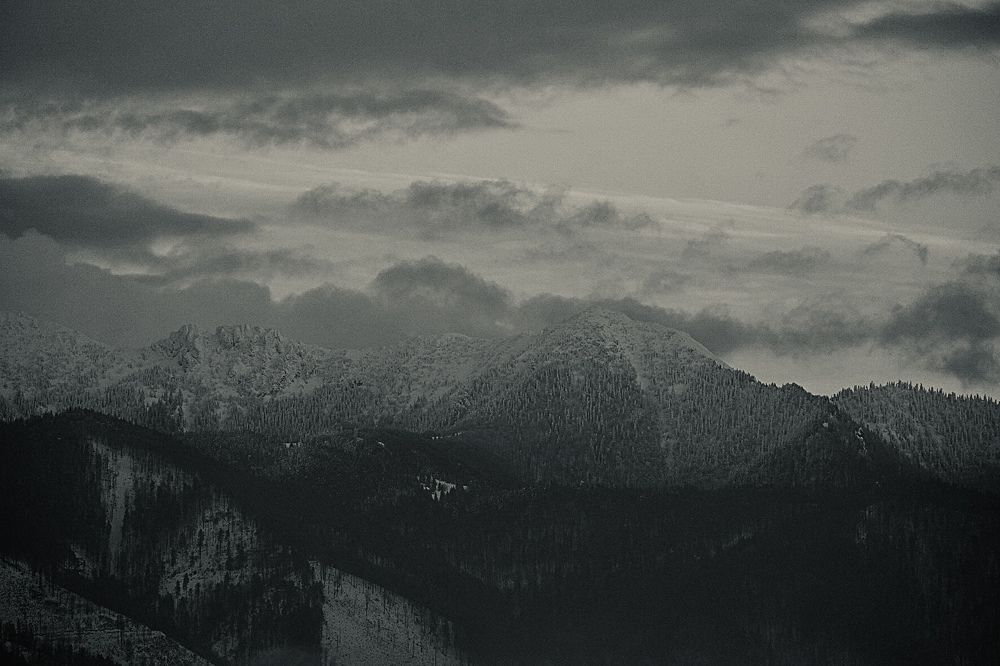 Photograph by Семён Григоренко