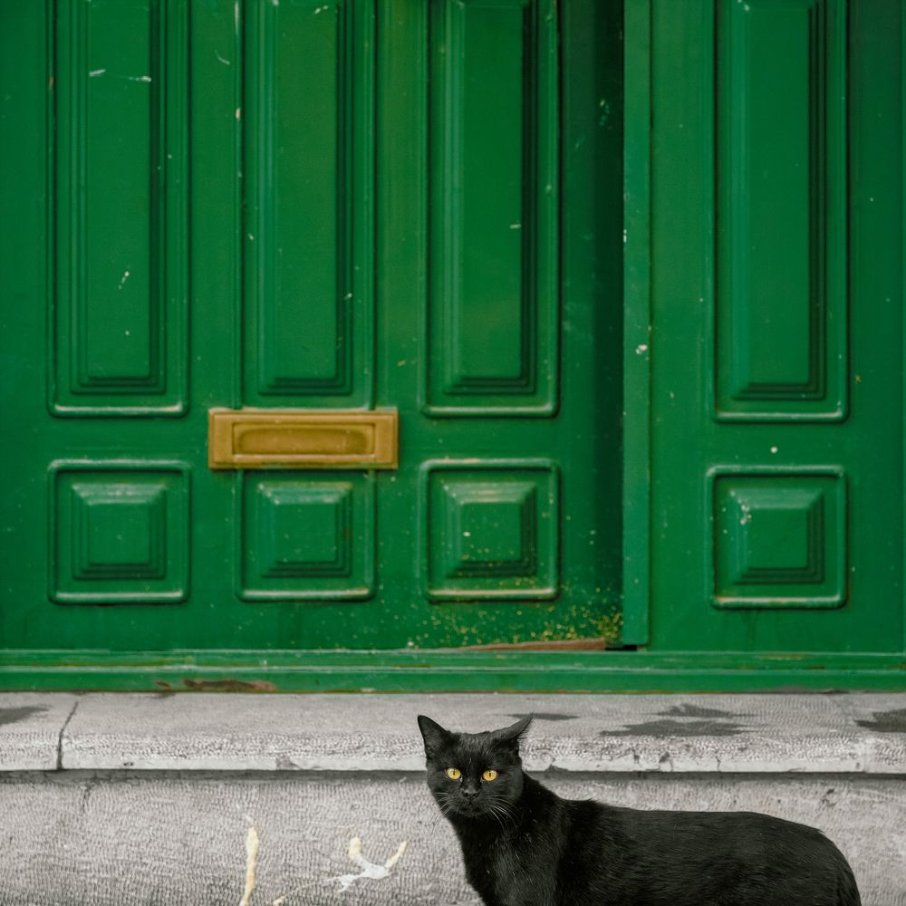 Photograph by  Poorya Rafiezade