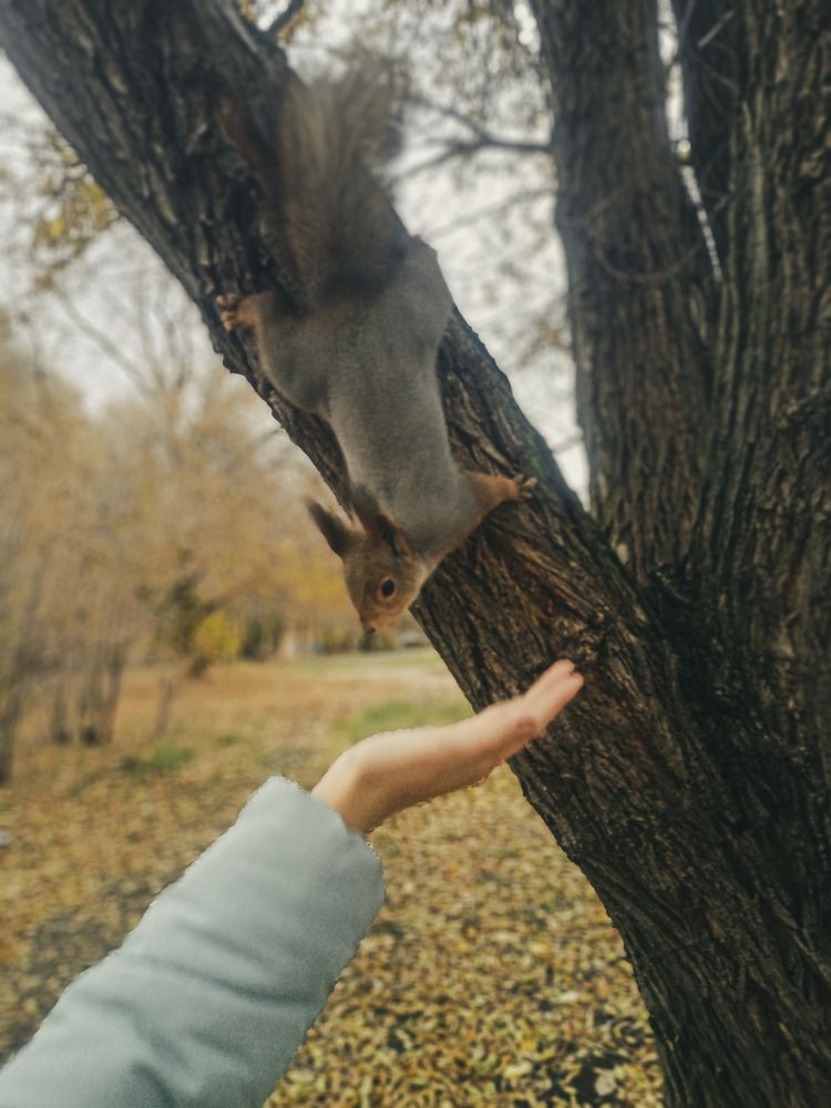 Photograph by Елизавета Мишина