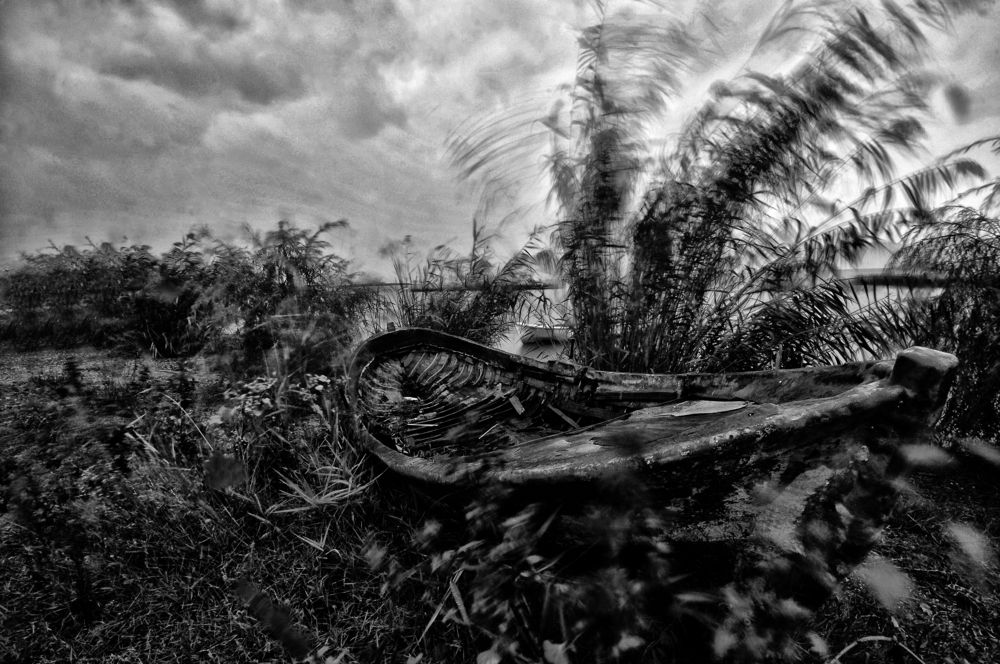 Photograph by Muzaffer Sütlüoğlu