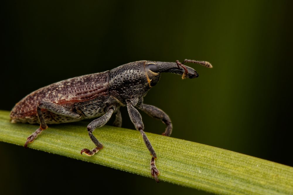 Фотография автора Jozef Mihalčin