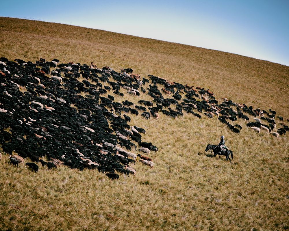 Photograph by Rustam Rakhimov