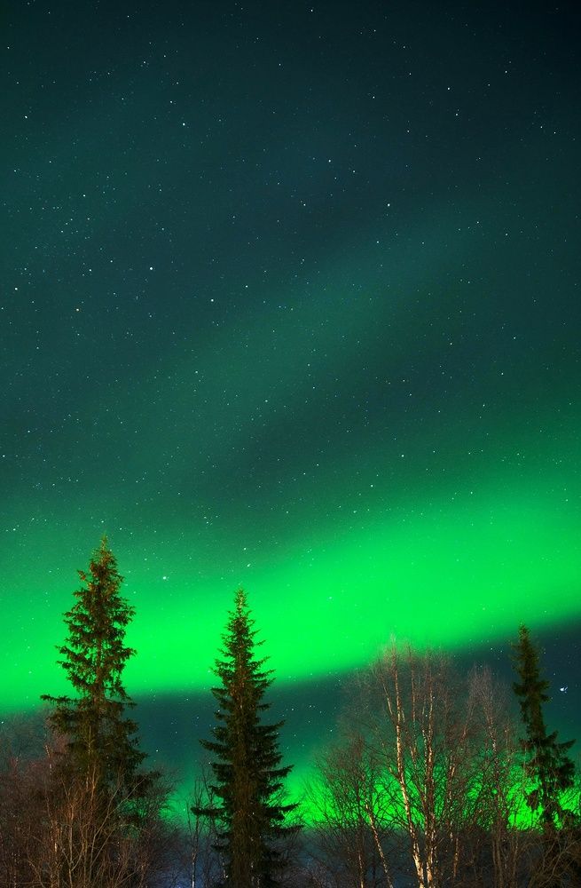 Photograph by Ксения Рябухина