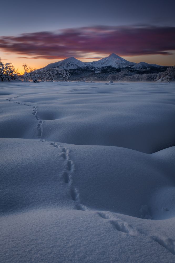 Photograph by photo_booooy