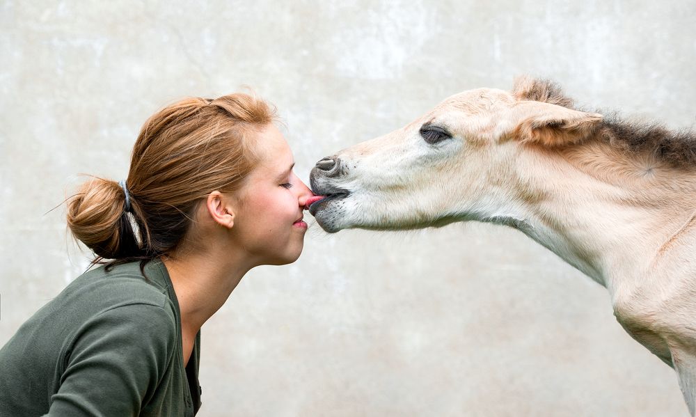 Photograph by Лана Петрова