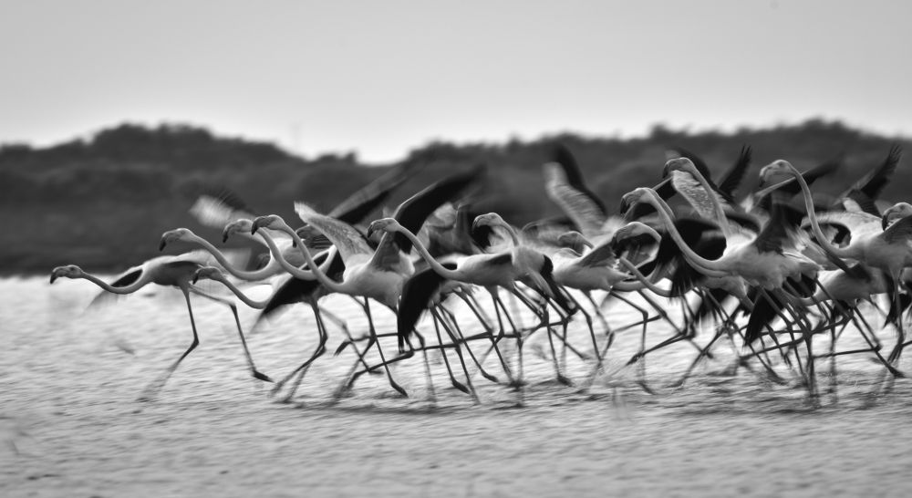Photograph by Yuganthan Nallusamy
