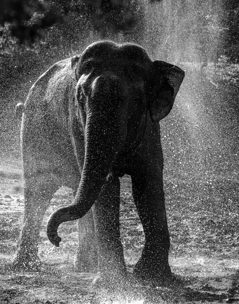 Photograph by Yuganthan Nallusamy