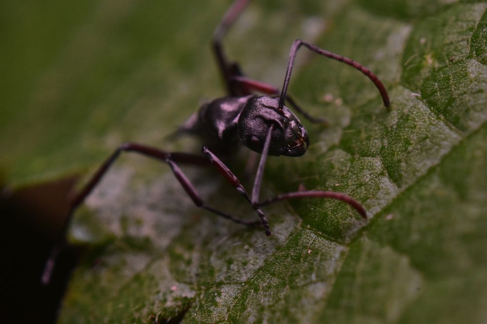 Photograph by Jeenbastian KJ