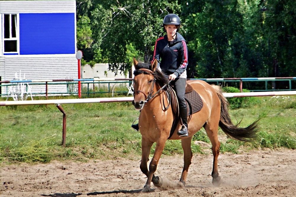 На ипподроме