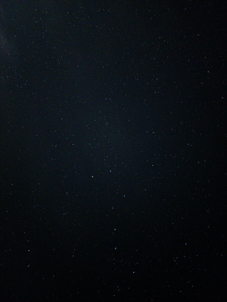 Photo #9975217