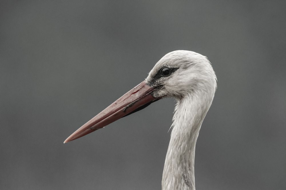 Photograph by Федорако Дмитрий