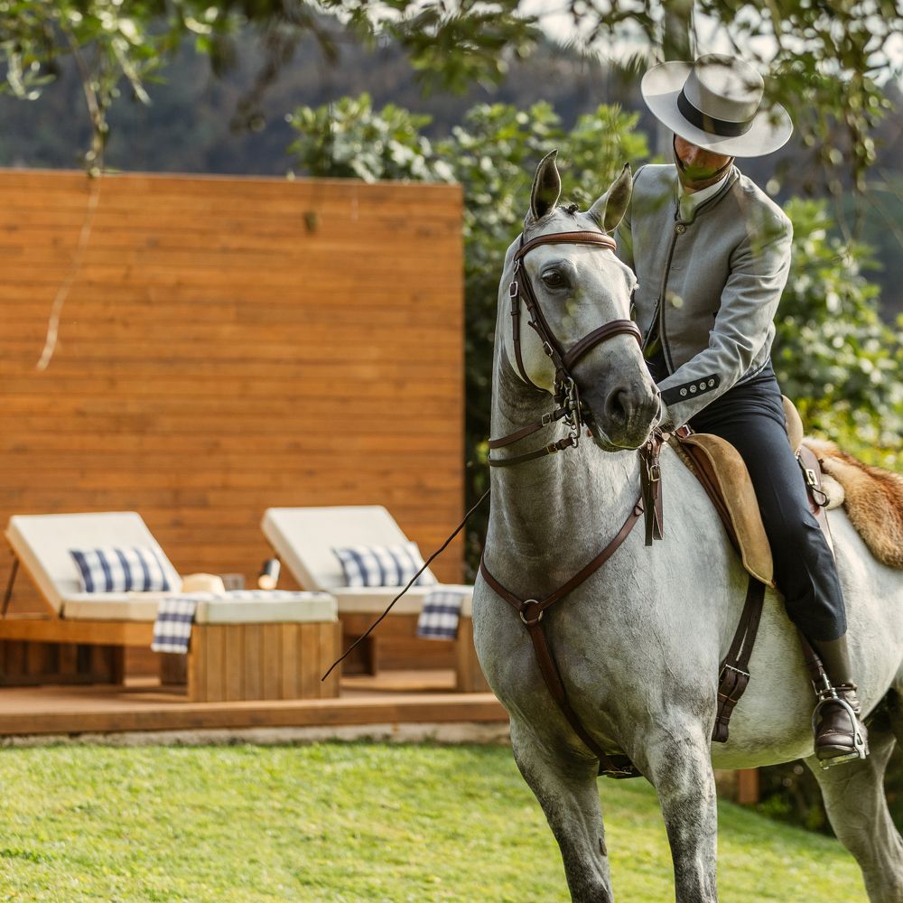 Photograph by Carlos Hernâni