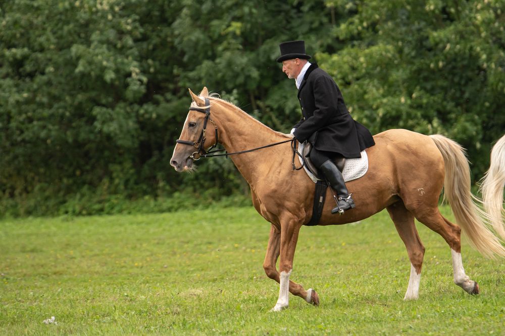 Photograph by наталья залогина