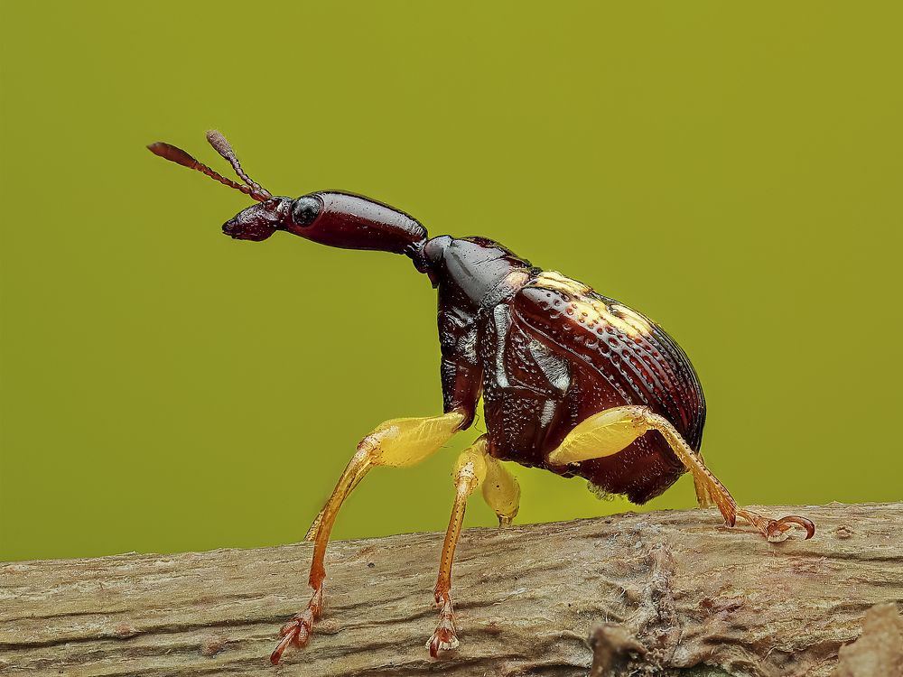 Photograph by Jacob Ng