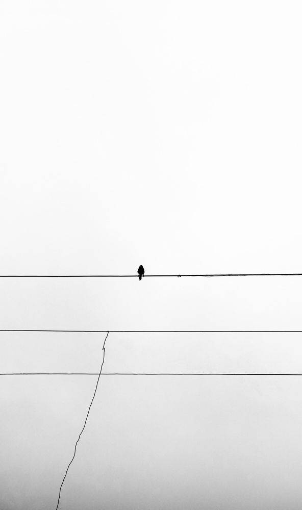 Фотография автора Rajvardhan Singh