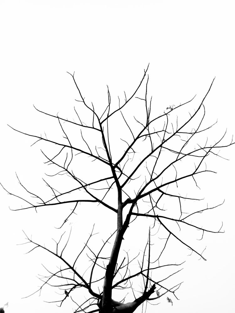 Фотография автора Rajvardhan Singh