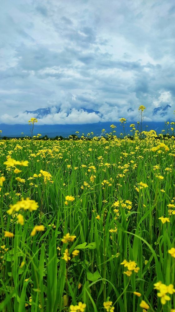 Photograph by Анна Киселёва