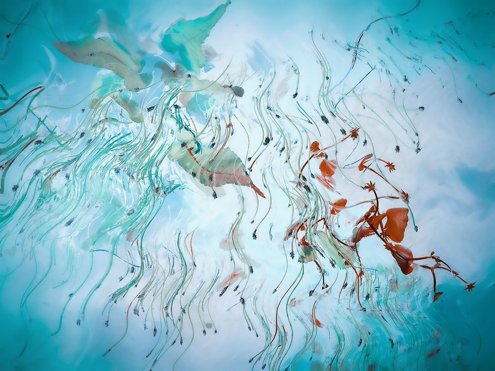 Photograph by Галина Полищук