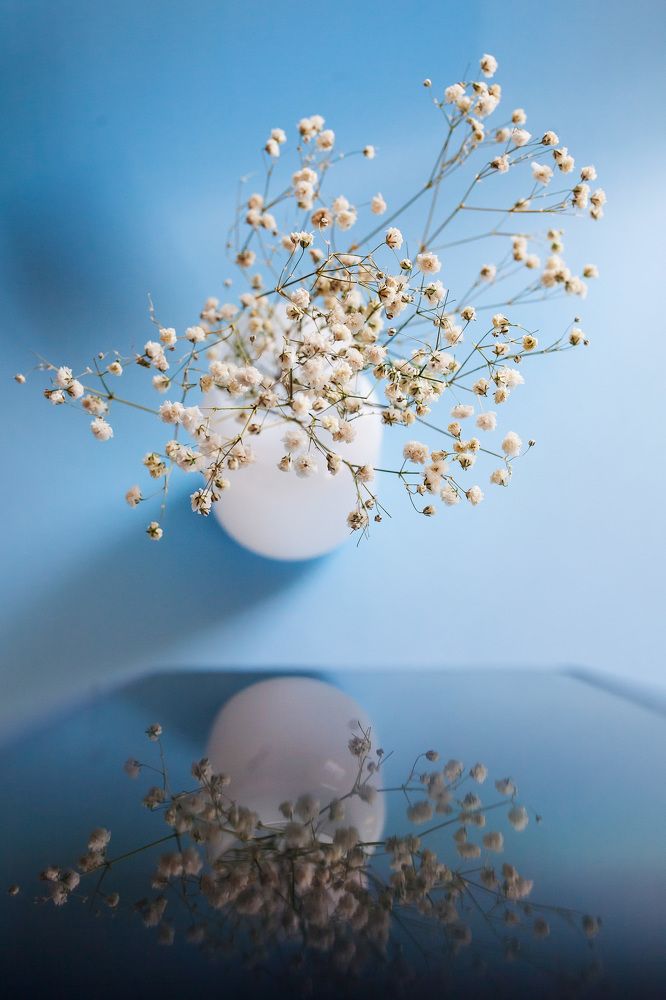 Фотография автора Альбина Кадочникова