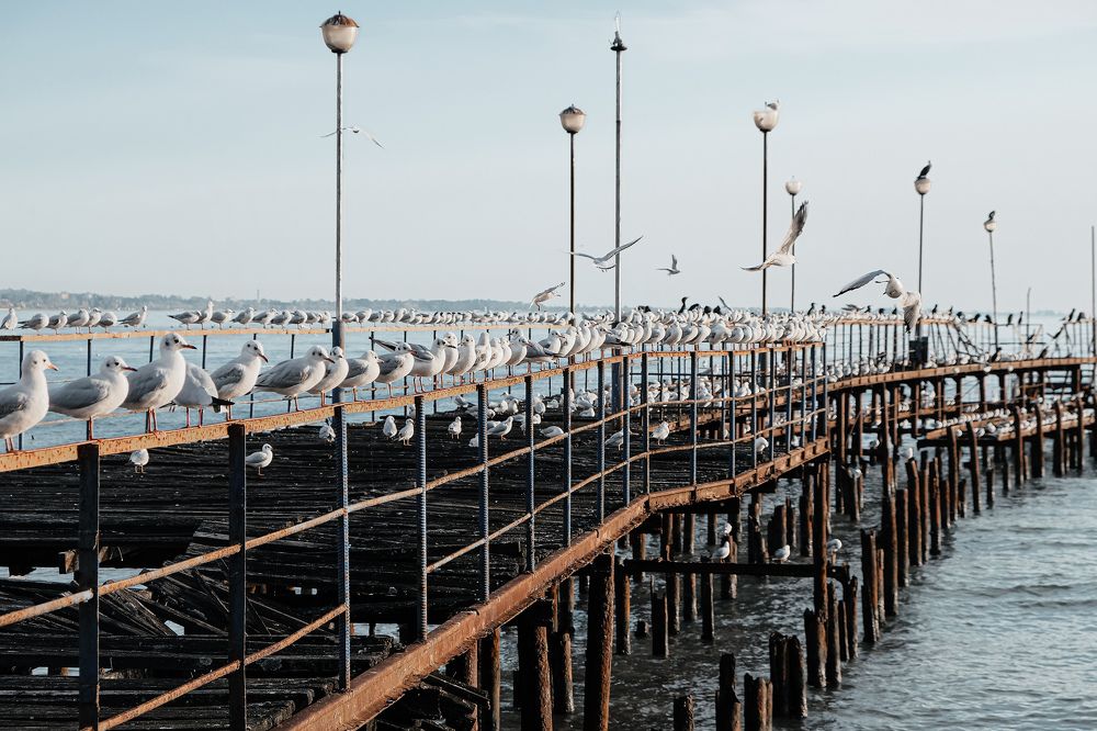 Photograph by Алеся Сафарова